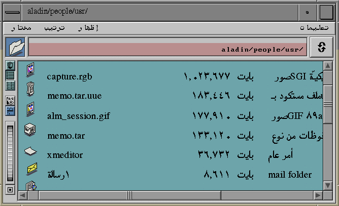Arabized  Desktop